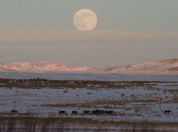 Moonrise over the mountains. Photo by Dawn Ballou, Pinedale Online.