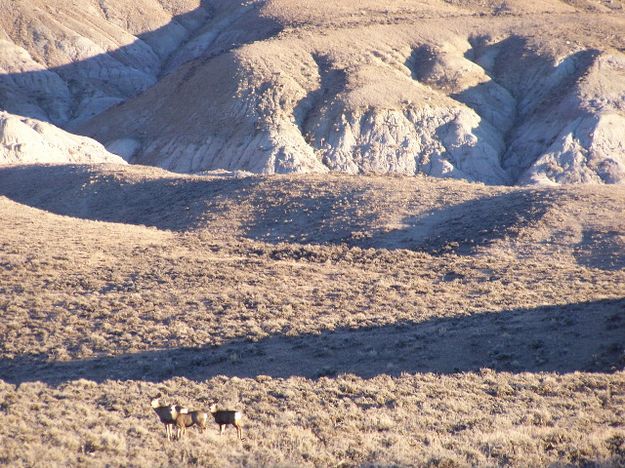 Pinedale Badlands. Photo by Scott Almdale.