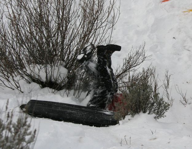 Rough Landing. Photo by Dawn Ballou, Pinedale Online.