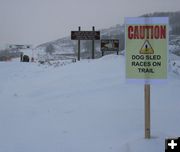 Griz and Sleds. Photo by Dawn Ballou, Pinedale Online.