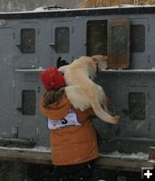 Stuff a Pup. Photo by Dawn Ballou, Pinedale Online.