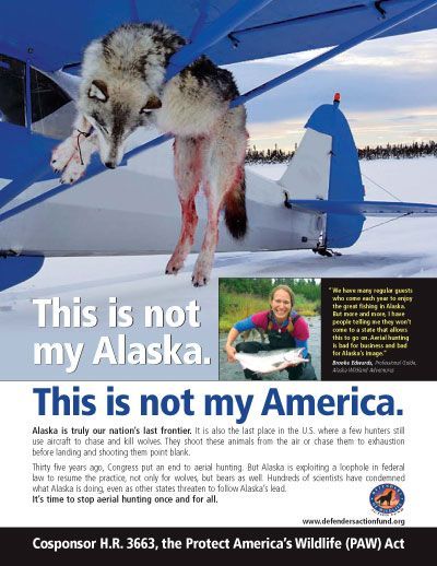 Winning Ad. Photo by Defenders of Wildlife.