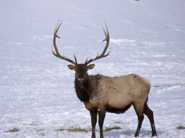 Standing Proud. Photo by Ranae Lozier.