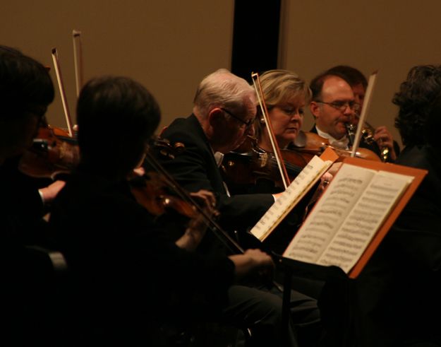 Violins. Photo by Pam McCulloch.