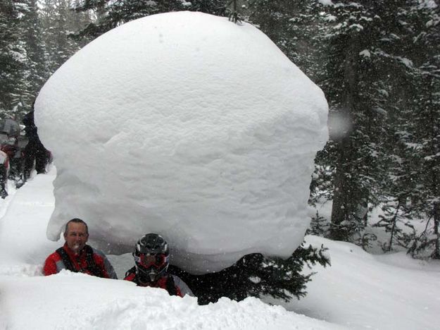 Deep Snow. Photo by Van Huffman.