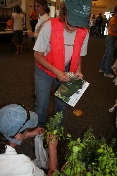 Tree Sales. Photo by Pam McCulloch, Pinedale Online.