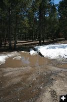 Meadow Lake dispersed campsite. Photo by Dawn Ballou, Pinedale Online.