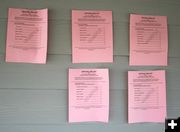 Sample Ballots. Photo by Dawn Ballou, Pinedale Online.