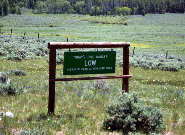 Fire Danger Low. Photo by Dawn Ballou, Pinedale Online.