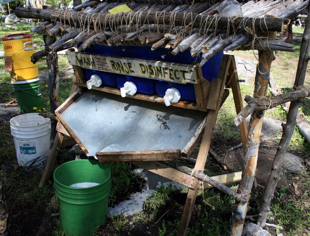 Wash, Rinse, Disinfect. Photo by Dawn Ballou, Pinedale Online.