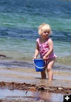 Beach Babe. Photo by Pam McCulloch, Pinedale Online.