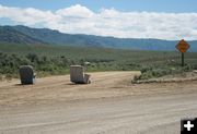 Free or Roadblock?. Photo by Dawn Ballou, Pinedale Online.