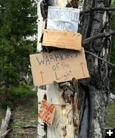 Camp Signs. Photo by Dawn Ballou, Pinedale Online.