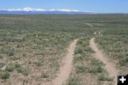 Through the desert. Photo by Dawn Ballou, Pinedale Online.