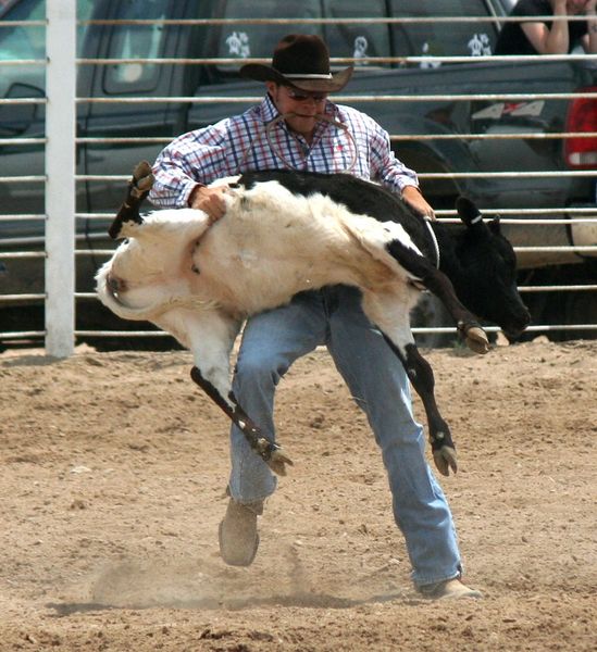 Calf Roping. Photo by Pinedale Online.