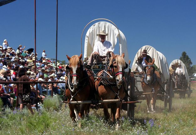 Supply Wagons. Photo by Pinedale Online.