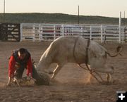 Too close for comfort. Photo by Dawn Ballou, Pinedale Online.