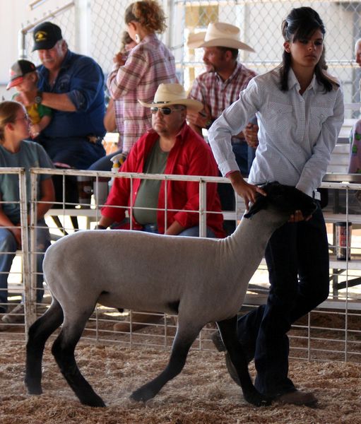 Tazia Morgart. Photo by Clint Gilchrist, Pinedale Online.