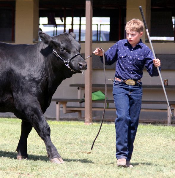 Walden Campbell. Photo by Clint Gilchrist, Pinedale Online.