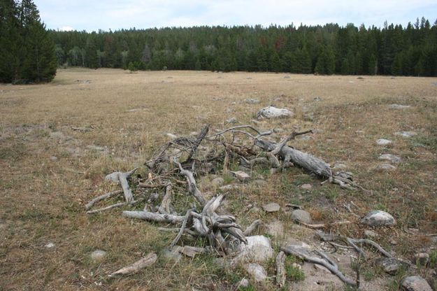 Spring - After. Photo by Dawn Ballou, Pinedale Online.