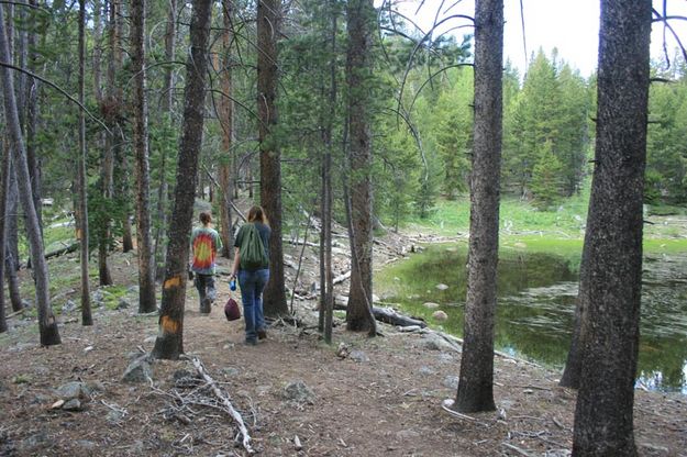 Trail Before. Photo by Dawn Ballou, Pinedale Online.