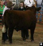 Emily Johnston. Photo by Clint Gilchrist, Pinedale Online.