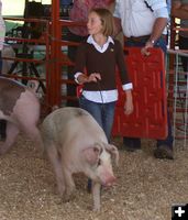 Annie Stevie. Photo by Clint Gilchrist, Pinedale Online.