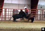 Stopping the Calf. Photo by Clint Gilchrist, Pinedale Online.