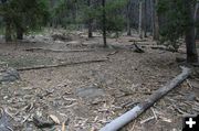 Kiddie Village after. Photo by Dawn Ballou, Pinedale Online.