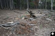 Lovin' Ovens - After. Photo by Dawn Ballou, Pinedale Online.