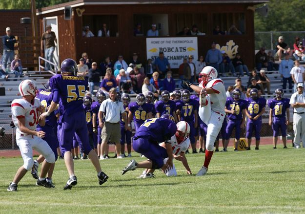 Blocked Kick. Photo by Cat Urbigkit, Pinedale Online.