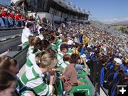 In the Stands. Photo by Craig Sheppard.