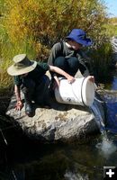 Releasing fish. Photo by Hal Erickson.