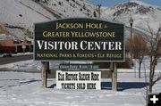 Elk Refuge. Photo by Pam McCulloch, Pinedale Online.