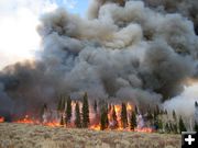 Maki Creek Burn. Photo by Photo by Jill Miller, WGFD..