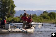 Netting Fish. Photo by Mark Gocke, WGFD.