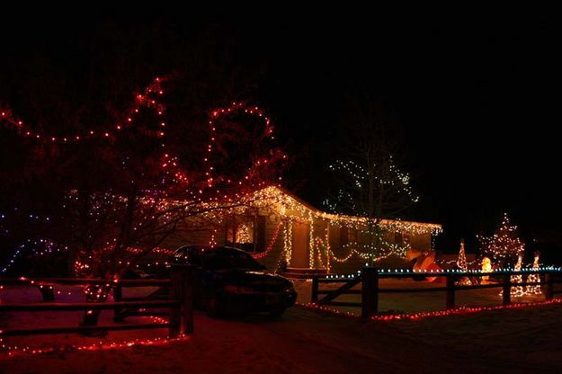 Dancing Trees. Photo by Dawn Ballou, Pinedale Online.