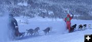 6-Dog race. Photo by Trey Wilkinson, Sublette Examiner.