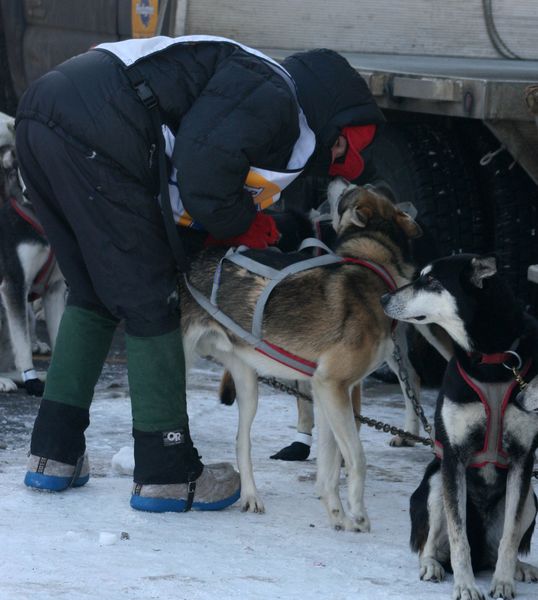 Krista Halsnes and dogs. Photo by Dawn Ballou, Pinedale Online.