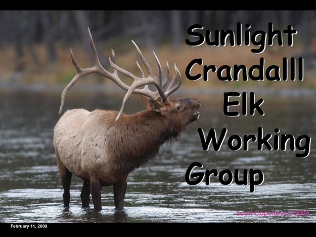 Sunlight Crandall. Photo by .