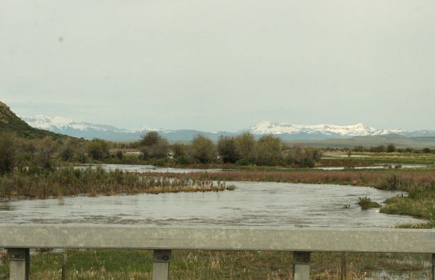 Horse Creek 2. Photo by Dawn Ballou, Pinedale Online.