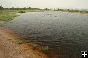 High Water. Photo by Dawn Ballou, Pinedale Online.