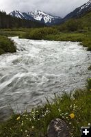 Bear Creek. Photo by Dave Bell.