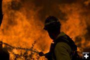 Blaze. Photo by Mark Randall, USFS.