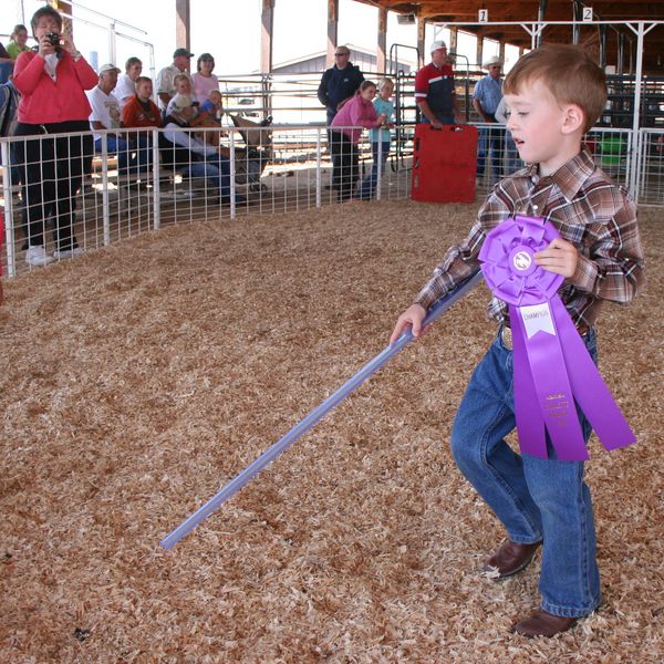 Pee Wee Showmanship. Photo by Clint Gilchrist, Pinedale Online.