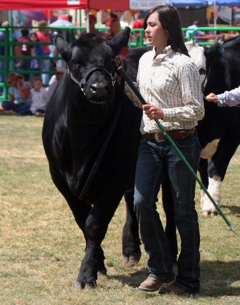 Cassidy Jensen. Photo by Clint Gilchrist, Pinedale Online.