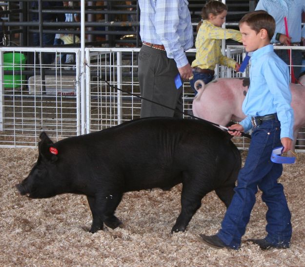 Colt Ramsey. Photo by Clint Gilchrist, Pinedale Online.