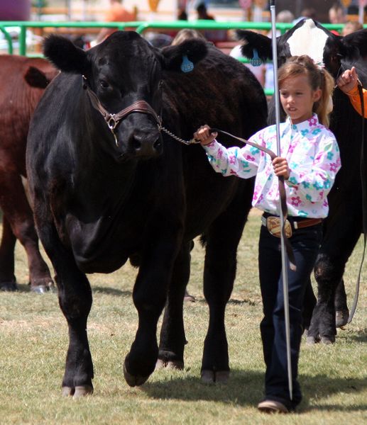 Karson Bradley. Photo by Clint Gilchrist, Pinedale Online.