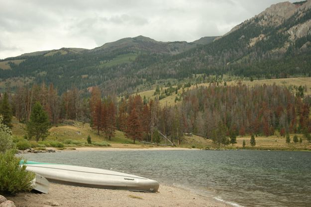 Shoreline. Photo by Dawn Ballou, Pinedale Online.