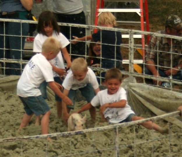 Brownie Locks & the Pigs. Photo by Dawn Ballou, Pinedale Online.